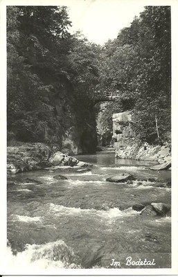 Postcard Thale LK Harz - in the Bodetal, bridge - 1964 used Stamp Friedrichsbrunn