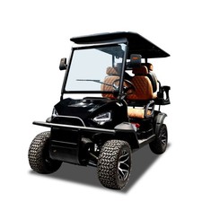 Golf Kart 2+2 Sitzer Straßenzulassung 4.0KW 48V LEAD- ACID Batterie Golfcart
