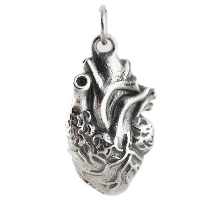 3D Anatomical Human Heart Charm - 925 Sterling Silver - Love Lifelike Anatomy