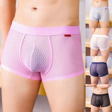 Mens See Through Mesh Boxer Briefs Low Rise Pouch Panties Lingerie Underwear L
