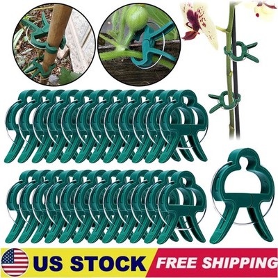 10/50/100 Pack Bulk Tomato Cucumber Plant Garden Clip Support Twine Greenhouse