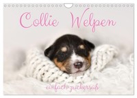 Calendar 2027 · US Version · Collie Puppies Just Sugar Sweet (Wall Calendar 2027