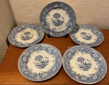 Antique Elkin & Newbon Blue And White Pearlware Botanical Beauties 24cm plates