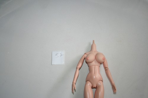 VOLKS JAPAN DOLLFIE EB BEAUTY TYPE D BJD FEMALE ACTION FIGURE BIG BUST BODY - Picture 4 of 7