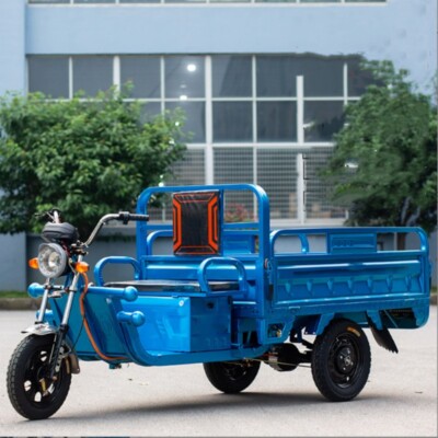 800W Electric Adult Tricycle E-Trike 60V 32A Battery 3-Wheel
