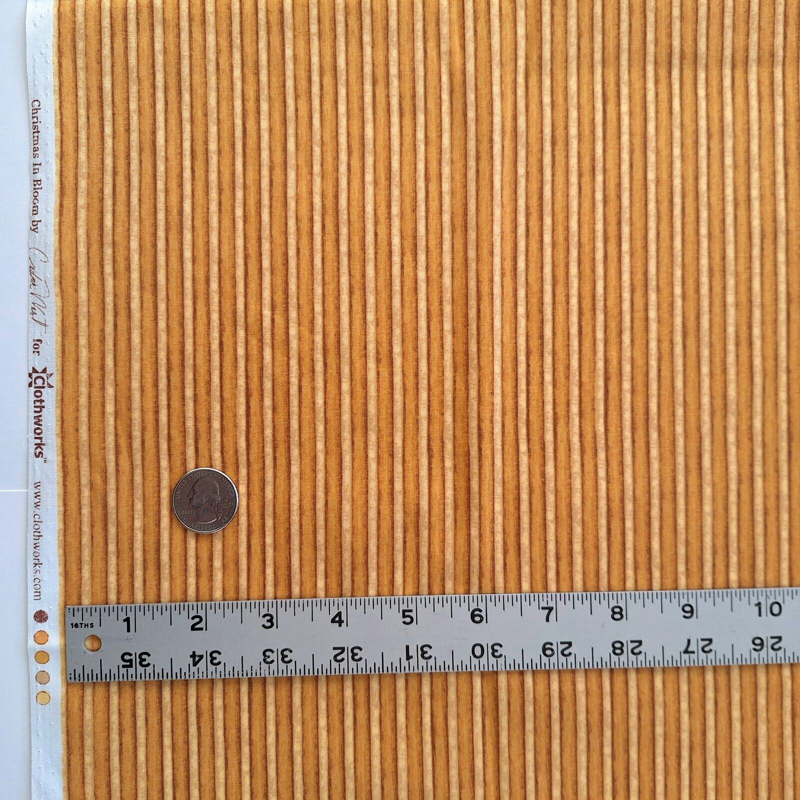 Picture 7 of 11