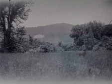 5.5x3.5 Glass Negative Large House on Hillside Manor Field Nature Trees