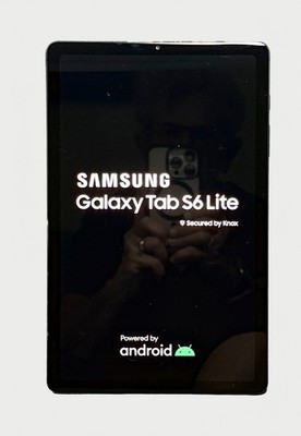 Samsung Galaxy Tab S6 Lite SM-P610 64GB Android Tablet