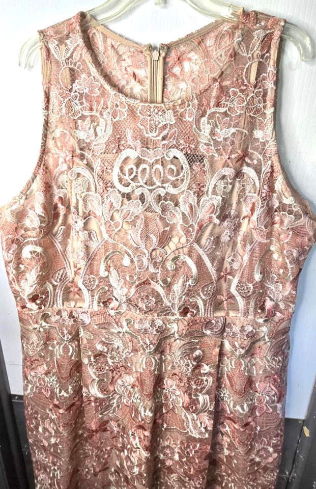 Vestido para mujer Lane Bryant superpuesto de encaje 22 rosa nude forrado floral verano A123 Foto 3 de 4