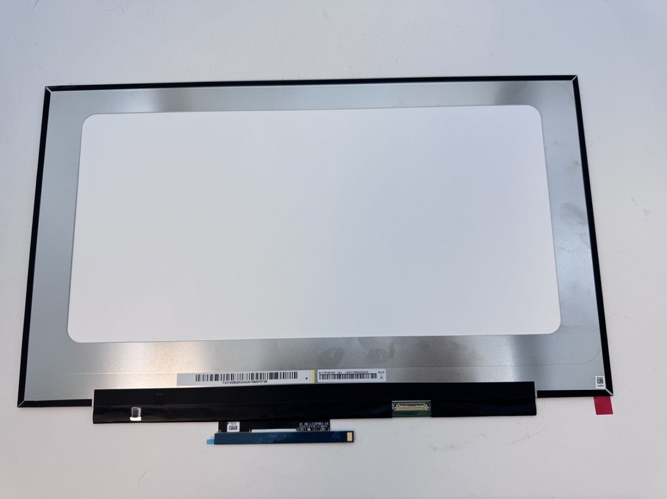 Dalle Ecran 17.3" LED Pour Acer Chromebook 317 CB317-1H