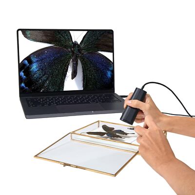 Ipevo DOK P2V Ultraobjektkamera schw NEU