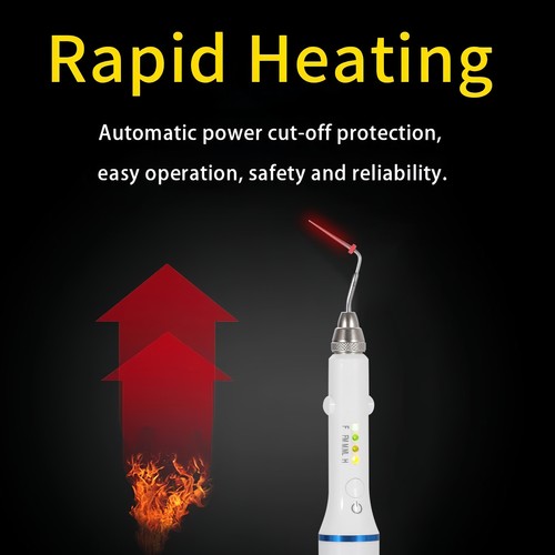 Sistema di otturazione dentale penna riscaldata endo canale radicolare penna di riempimento hot melt e 4 punte - Foto 23 di 23