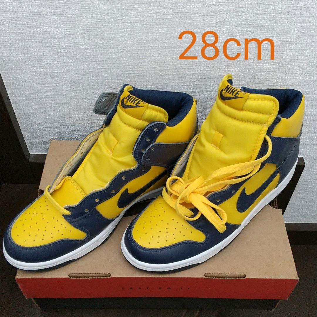 NIKE US10 Men Dunk High Le