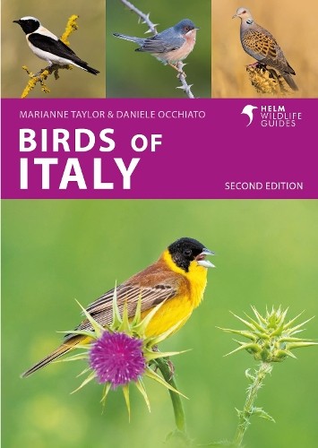 Vögel Italiens - 9781399410649 - Bild 1 von 1
