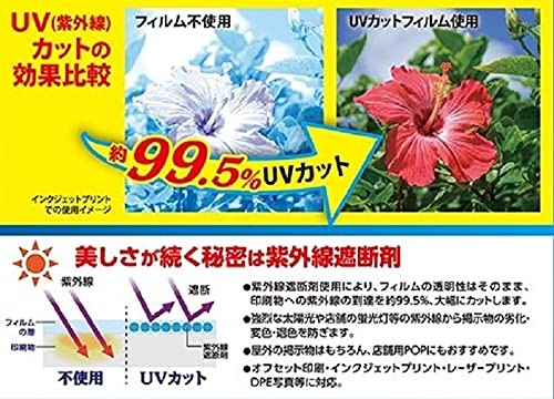 Asuka Pellicola Laminazione UV 99,5% Taglio A4 100 Micron 100 Fogli F4003 76 - Foto 8 di 8