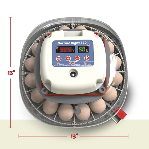 User-Friendly Egg Incubator for 12-22 Eggs – Humidity Control & Induced Airflow - Picture 10 of 11