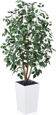 5Ft Artificial Ficus Tree,Tall Faux Tree with Pebbles & Planter UV Resistant Pot