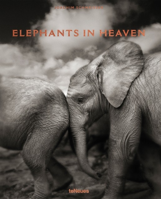 Elephants in Heaven by Joachim Schmeisser (Hardback Book)