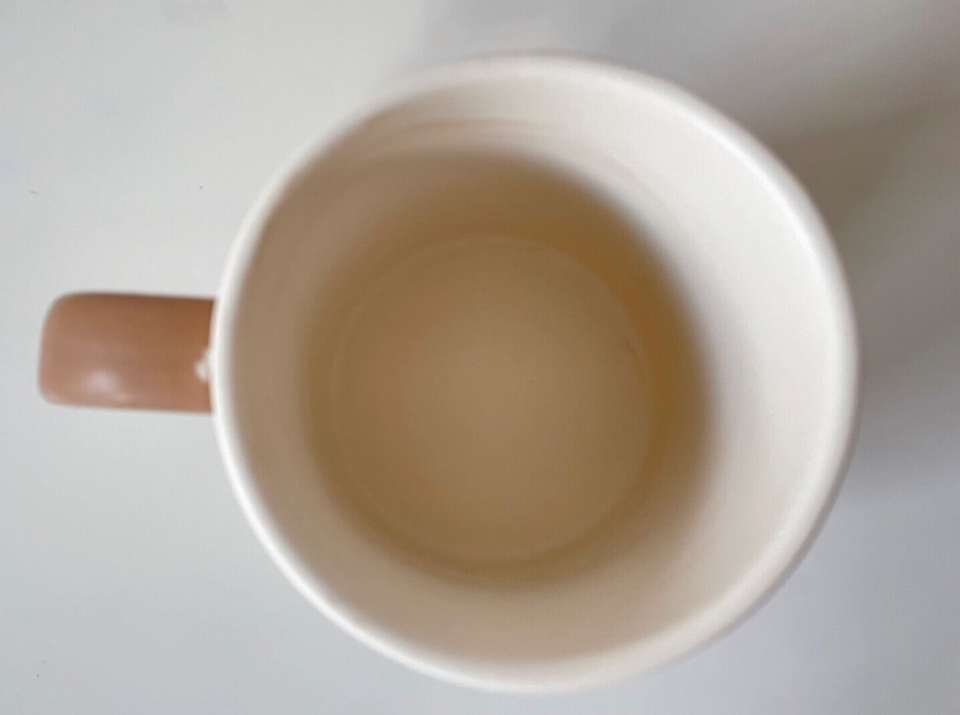 Coffee Mug Florida Stoneware Ceramic agiftcorp NEW eBay