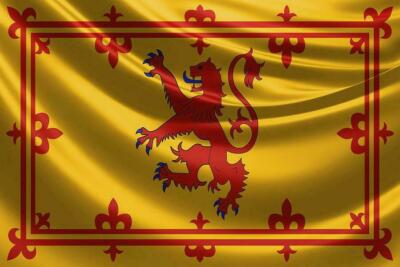 Scotland Lion Flag Scottish Deluxe Polar Micro Fleece 50''X60'' Inch Warm Blanket