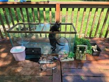 75 Gal Aquarium Tank USED 48x18x22- Includes Basic Kit and Decoration