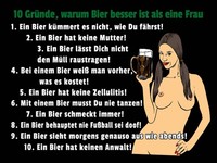 Holzschild 30X40 Cm Pinup 10 GrüNde Bier Besser Als Frau Deko Geschenk Holz Schi