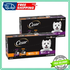 Cesar Canine Cuisine Wet Dog Food - Classic Loaf in Sauce Beef, Filet Mignon,...