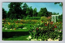 Charlottetown PEI-Prince Edward Island, Scenic Flower Garden, Vintage Postcard