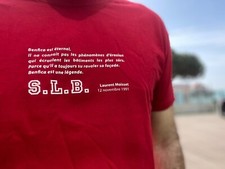 Laurent Moisset France Football Benfica SLB T-shirt Football FREE SHIPPING