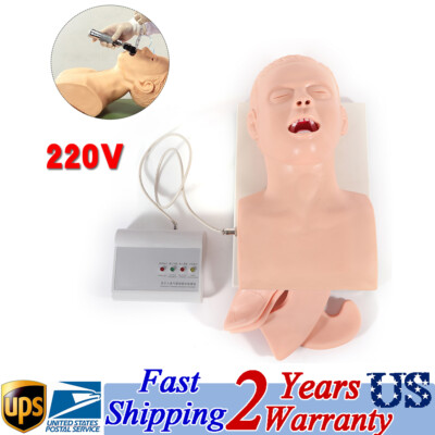 Adult Model Airway Management Trainer Oral Intubation Manikin Study Teaching