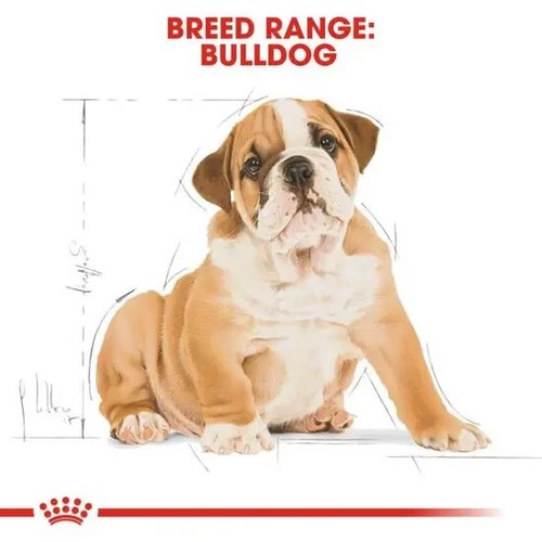 ROYAL CANIN Puppy Dry Food Bulldog Breed Health Nutrition 3kg Bag - Picture 6 of 8
