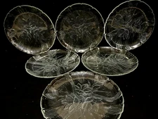Arcoroc Canterbury Crocus Set Of 6 Floral Clear Glass Dinner Plates 10 3/4"
