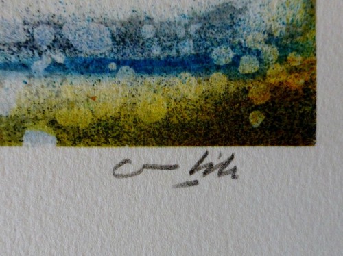PAUL AMBILLE Cup and bouquet HAND SIGNED NUMBERD LITHOGRAPH French expressionist - Picture 3 of 5