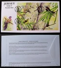 Jersey Stamps "Birdlife VI - Woodland Birds" 3 Value M/S First Day Cover 2010