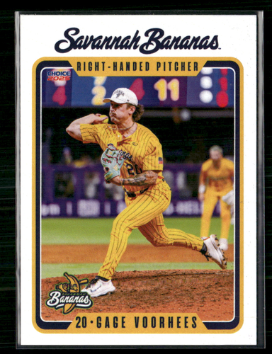 Gage Voorhees 2024 Savannah Bananas Team Set