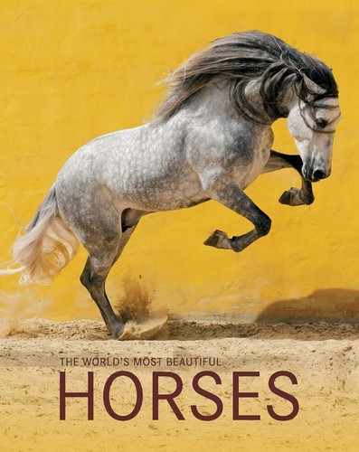 The World's Most Beautiful Horses / Die schonsten pferde der welt / Los caballos