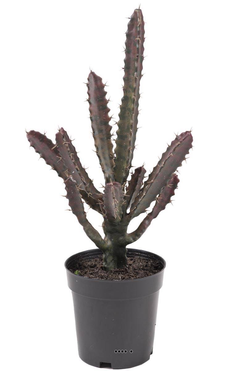Cactus Euphorbe artificiel sans entretien Vert et Rouge 45cm Top qualite