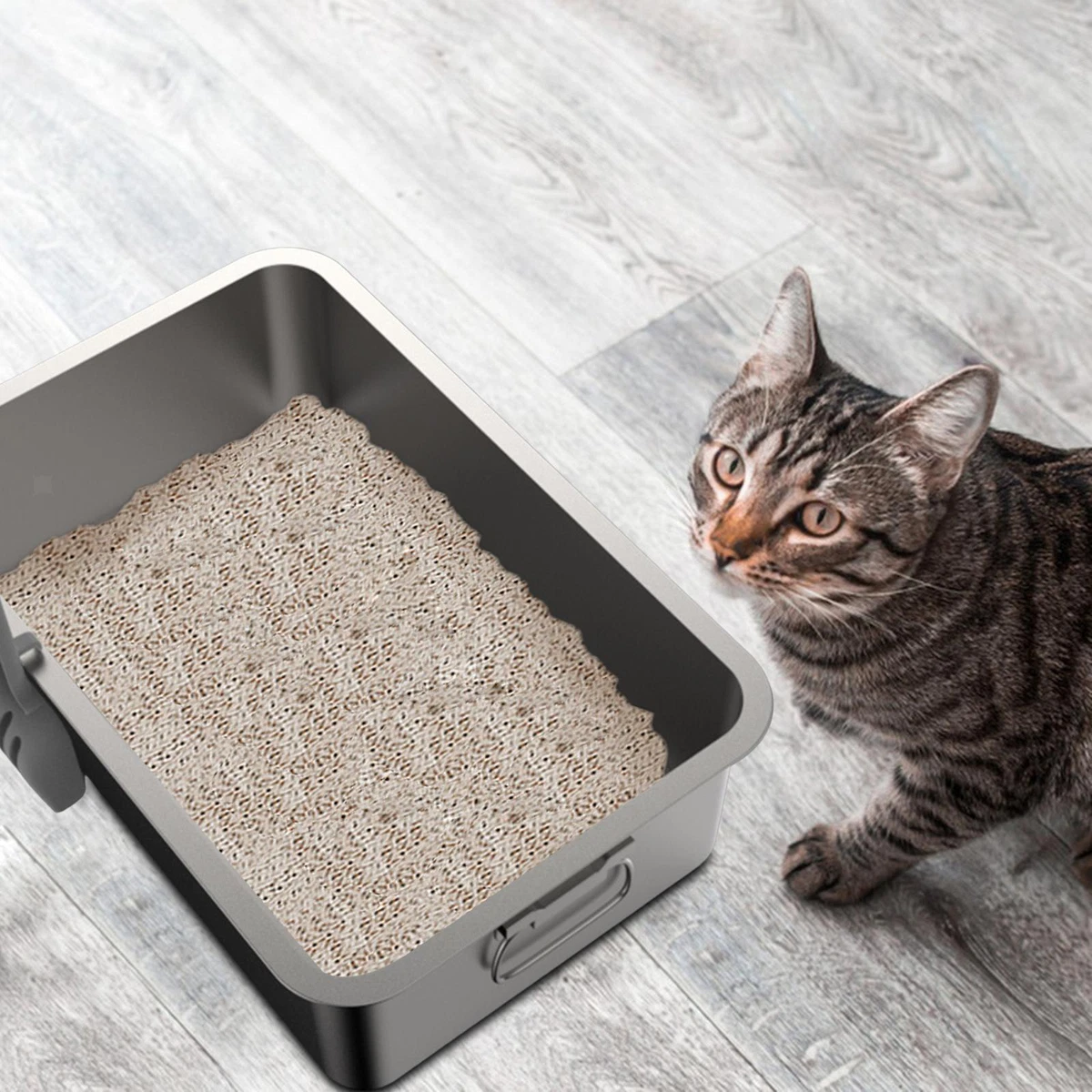 Cat Litter Box for Indoor Cats Stainless Steel Cat Supplies Semi
