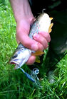 Bild 3 von 10