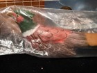 Vintage Hand Carved & Hand Painted Wooden Bird Letter Opener  — photo 1