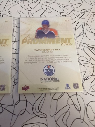 2025 National VIP 2 Packs Upper Deck Promo!! Gretzky And Others! - Picture 6 of 6