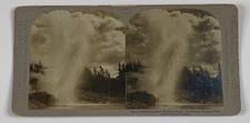 Stereoview Photo Riverside Geyser Yellowstone National Park WY