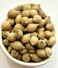 Raw Herbs/Jadi Booti Putrajeevak Beej Jiya Pota Seeds Putra Jivak Beej Putra Jee