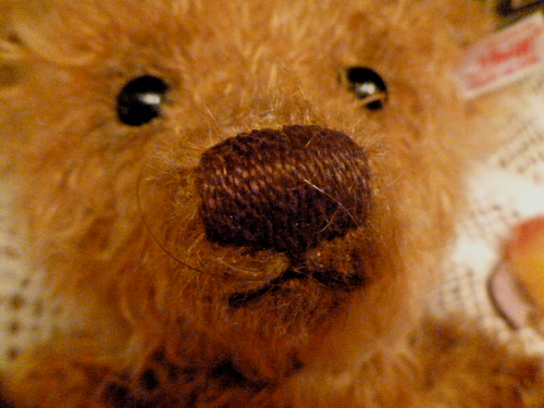 Steiff Alexander LED 00118/Teddy Bear EAN 034978 with Parrot 118/1500, 1913 - Picture 10 of 10