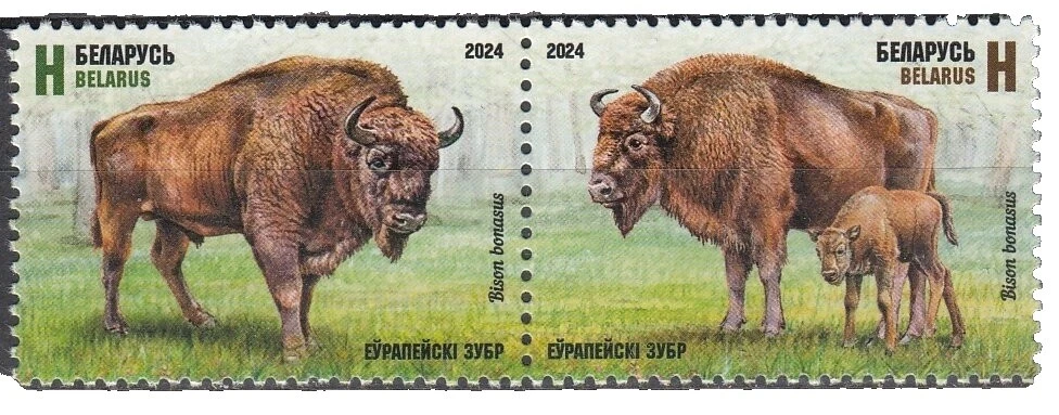 Cancelled to Order/CTO Mint Never Hinged/MNH Animal Kingdom Postal Stamps