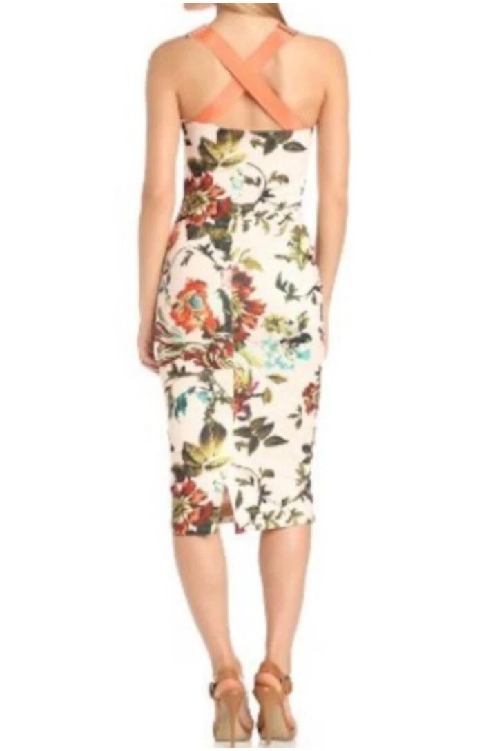 Ted baker sale amabel dress