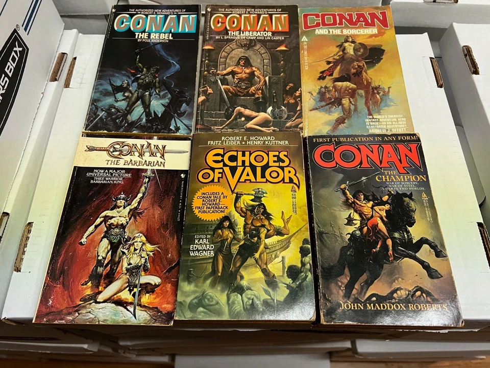 Lot of 15 Vintage Conan Paperbacks Roland Green Robert Jordan Poul Anderson+++ - Image 4 of 4