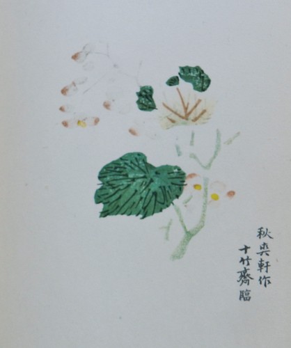 Chinese Poetry Paper by the Master of the Ten Bamboo Hall - Jan Tschichold 1951 - Picture 14 of 19