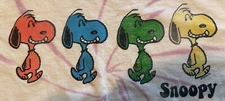 Junk Food clothing mens S graphic print Tee Multi Snoopy grateful dead tie dye