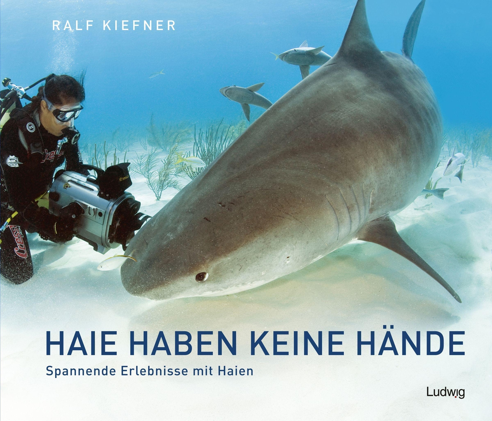 Haie Haben Keine Hände - Spannende Erlebnisse Mit Haien Ralf Kiefner